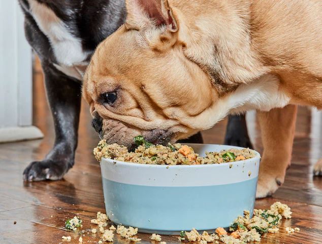Comida para perros adultos